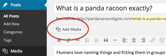 add-media-button.png