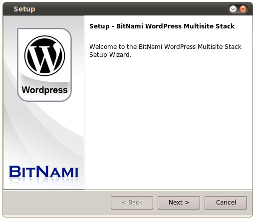 wordpress-multisite.png