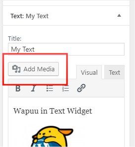 text-widget-with-media.jpg