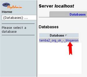 WordPress Password